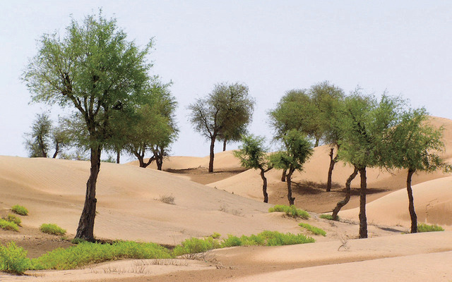 اتفاقية تعاون بين الوطني الزراعي و مكافحة التصحر