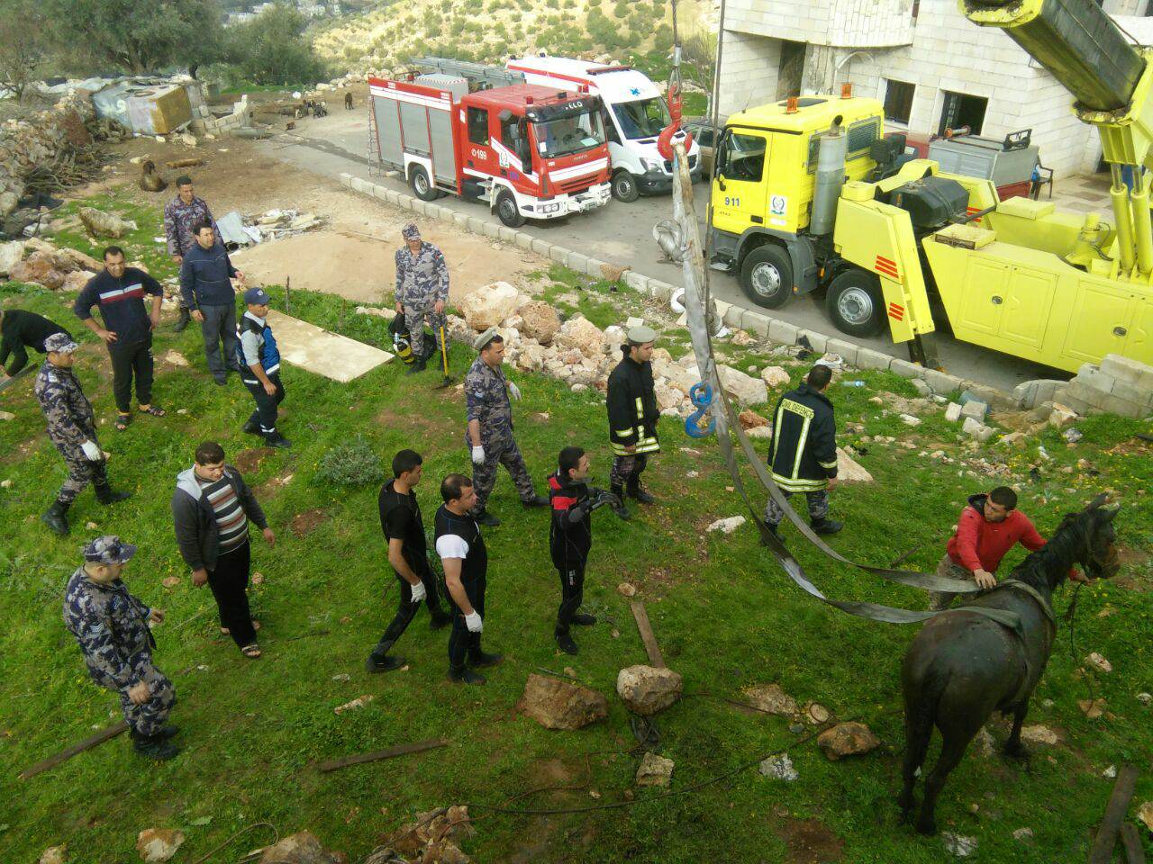 انقاذ حصان سقط في حفرة امتصاصية في عجلون .