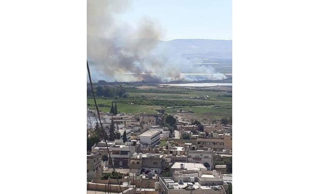 الغور الشمالي: حريق اسرائيلي يأتي على 1300 شجرة