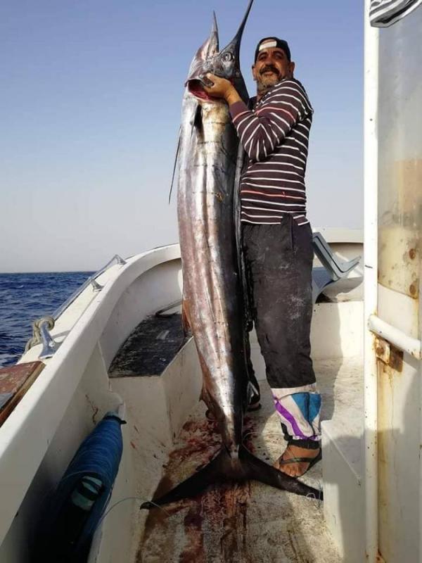 اصيطاد