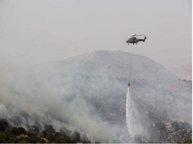 41 حريق غابات يوميا في المملكة