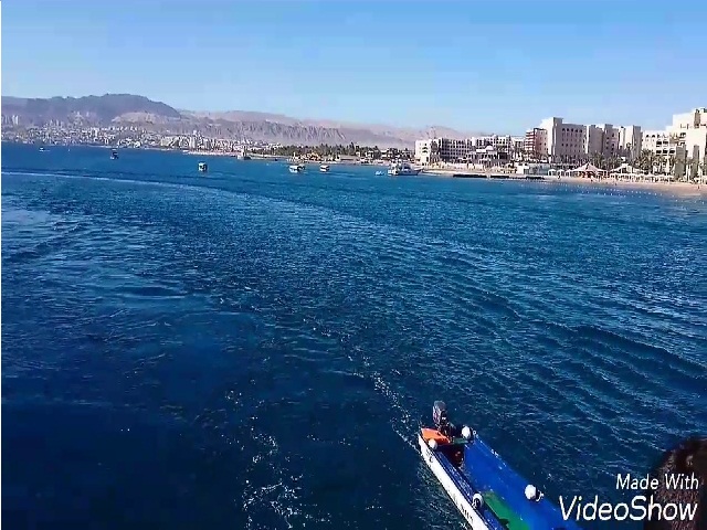 العقبة .. انقاذ مواطنين علقوا في البحر