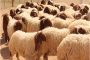 طرق علاج النحافة الشديدة