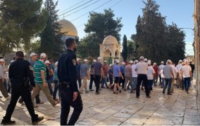 مستوطنون متطرفون يقتحمون باحات الأقصى بحراسة شرطة الاحتلال