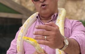 الوزير قطامين يحذر: إن الافاعي .. !