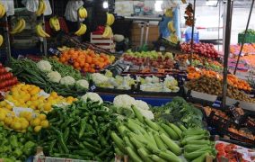 4563 طن خضار وفواكه ترد للسوق المركزي اليوم