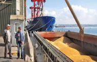 أوكرانيا تعلن مرور 16 سفينة حبوب عبر قناة بيستر المائية
