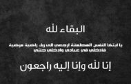 د. احمد السلايمة ينعى ( 30 ) شهيد من اسرة المرحوم الشيح زكي درويش في غزة