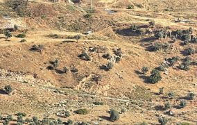 20 اصابة بحادث تدهور حافلة على طريق راجب
