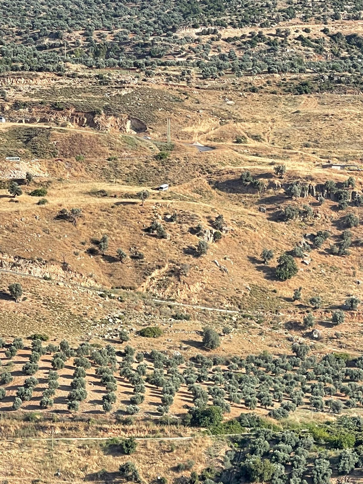 20 اصابة بحادث تدهور حافلة على طريق راجب